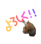 愉快なネコたち（個別スタンプ：7）