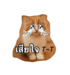 Weasley the cat（個別スタンプ：4）