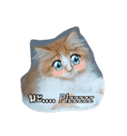 Weasley the cat（個別スタンプ：5）
