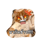 Weasley the cat（個別スタンプ：11）