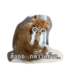 Weasley the cat（個別スタンプ：14）