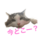 くー その3（個別スタンプ：8）