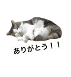 くー その3（個別スタンプ：12）