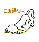 気ままなネコ（個別スタンプ：19）