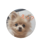 甘えん坊コロン（個別スタンプ：3）