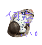 yuchanstamp2（個別スタンプ：3）
