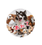 minte ＆ poteto（個別スタンプ：12）