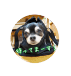minte ＆ poteto（個別スタンプ：17）