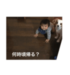 syoutaro2（個別スタンプ：3）