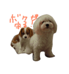 ぷぺぽの日常（個別スタンプ：4）