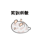 CBM meimei（個別スタンプ：7）