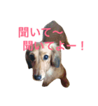 みーの気持ち（個別スタンプ：6）