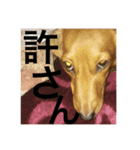 みーの気持ち（個別スタンプ：7）