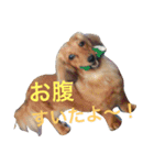 みーの気持ち（個別スタンプ：8）
