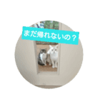猫のしょーいちとめー（個別スタンプ：2）