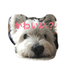 琥珀と天斗（個別スタンプ：7）