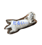 琥珀と天斗（個別スタンプ：10）