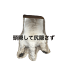 琥珀と天斗（個別スタンプ：15）