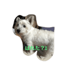 琥珀と天斗（個別スタンプ：16）
