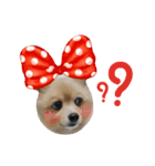 Alvin ＆ Marty（個別スタンプ：14）