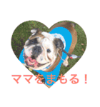 English Bulldog My Sweet Angel Jack（個別スタンプ：3）