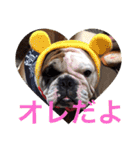 English Bulldog My Sweet Angel Jack（個別スタンプ：9）