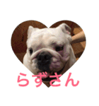 English Bulldog My Sweet Angel Jack（個別スタンプ：18）