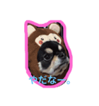 蘭丸からのコトバ（個別スタンプ：1）