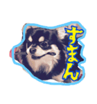 蘭丸からのコトバ（個別スタンプ：3）
