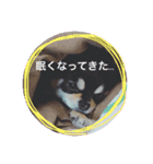 蘭丸からのコトバ（個別スタンプ：4）