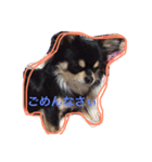 蘭丸からのコトバ（個別スタンプ：5）