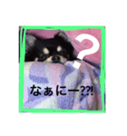 蘭丸からのコトバ（個別スタンプ：6）