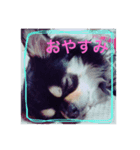 蘭丸からのコトバ（個別スタンプ：7）