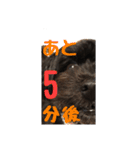 うちの子エルモ vol.04（個別スタンプ：18）