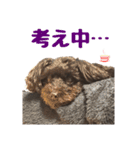 うちの子エルモ vol.04（個別スタンプ：24）