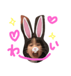 ゆあ＆そうた スタンプ（個別スタンプ：3）