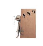 といぷーたちの日常会話スタンプ3（個別スタンプ：15）