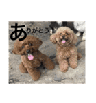 うちの犬たちだよ2（個別スタンプ：7）