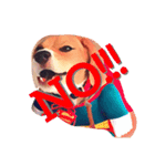 beagle drawing（個別スタンプ：3）