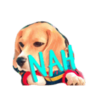 beagle drawing（個別スタンプ：4）