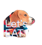 beagle drawing（個別スタンプ：5）