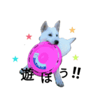 北海道犬 ハナ（個別スタンプ：9）