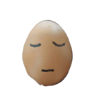 the egg face（個別スタンプ：11）