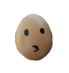 the egg face（個別スタンプ：20）
