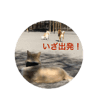むしょく組（個別スタンプ：4）