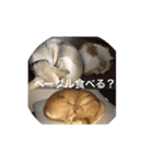 むしょく組（個別スタンプ：6）