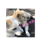むしょく組（個別スタンプ：7）