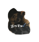 むさし スタンプ 2（個別スタンプ：4）