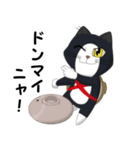鍋ネコのレオ推参！（個別スタンプ：14）