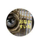 スズメのPちゃん（個別スタンプ：2）